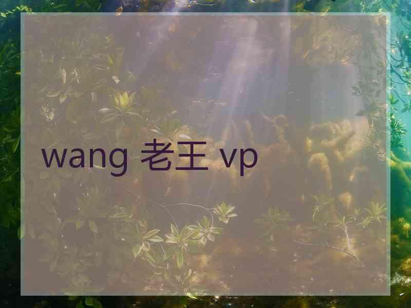 wang 老王 vp