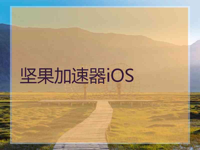 坚果加速器iOS