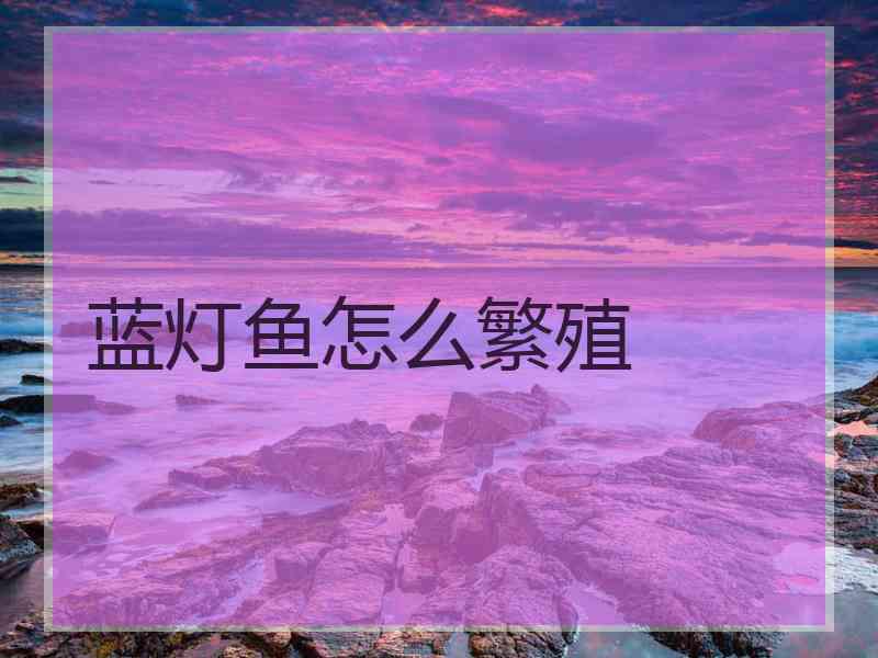 蓝灯鱼怎么繁殖