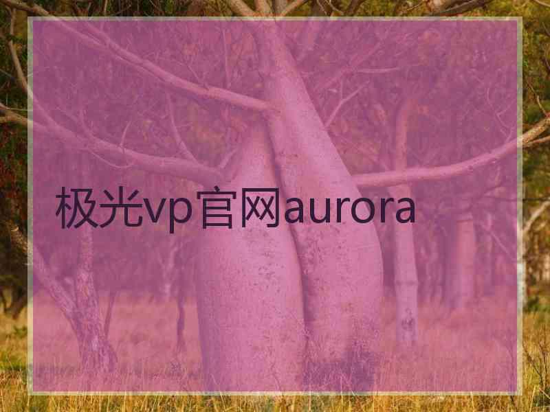 极光vp官网aurora