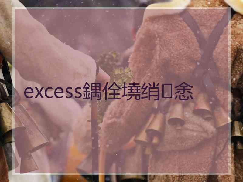 excess鍝佺墝绡悆