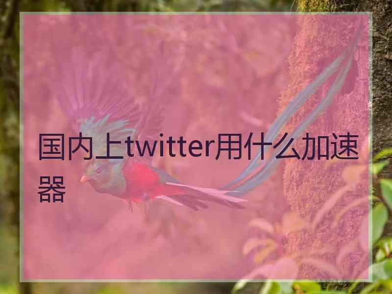 国内上twitter用什么加速器