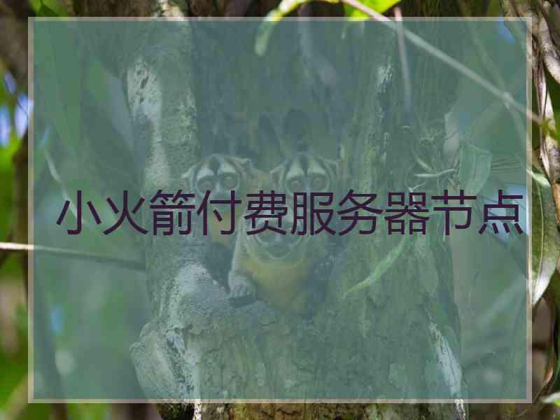 小火箭付费服务器节点