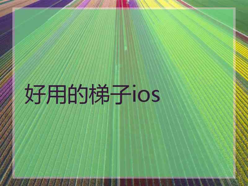 好用的梯子ios