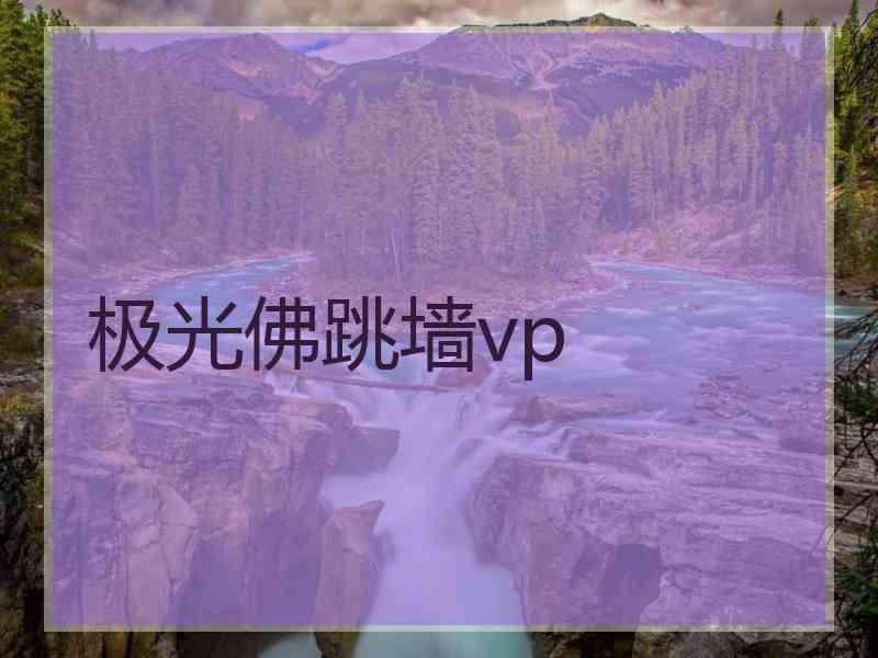 极光佛跳墙vp