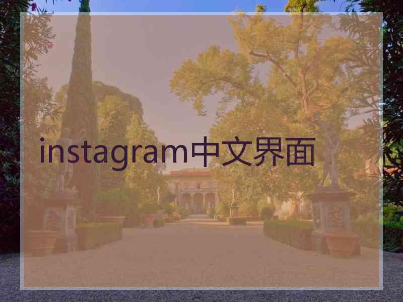 instagram中文界面