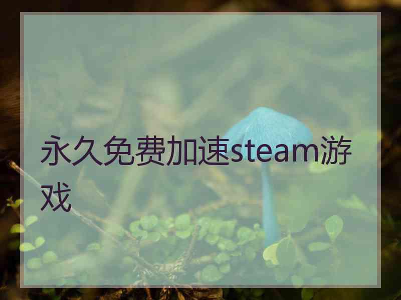 永久免费加速steam游戏