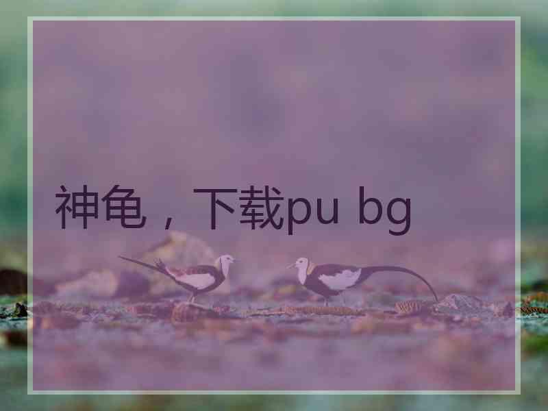 神龟，下载pu bg