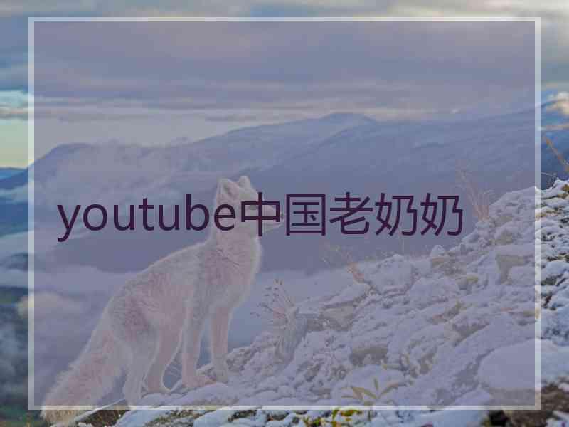 youtube中国老奶奶