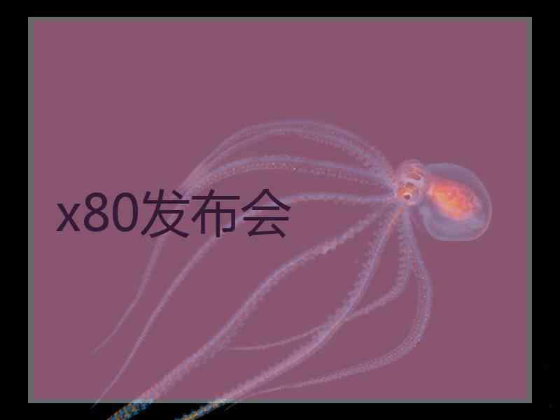 x80发布会