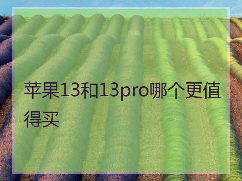 苹果13和13pro哪个更值得买