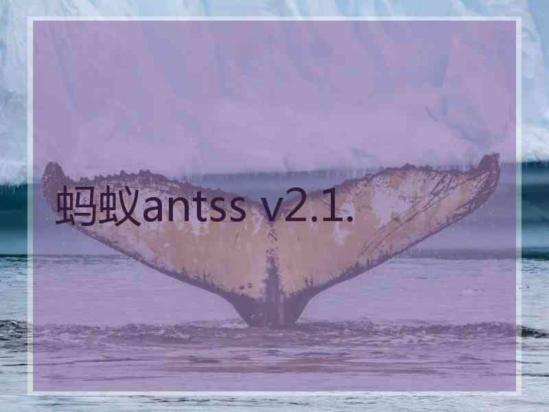 蚂蚁antss v2.1.