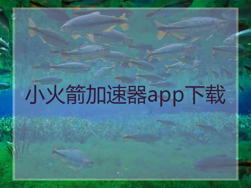 小火箭加速器app下载