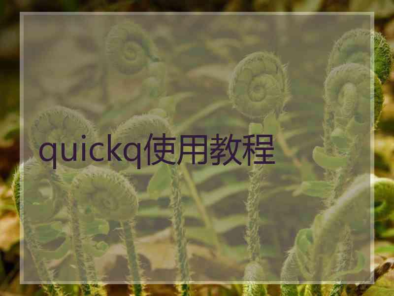 quickq使用教程