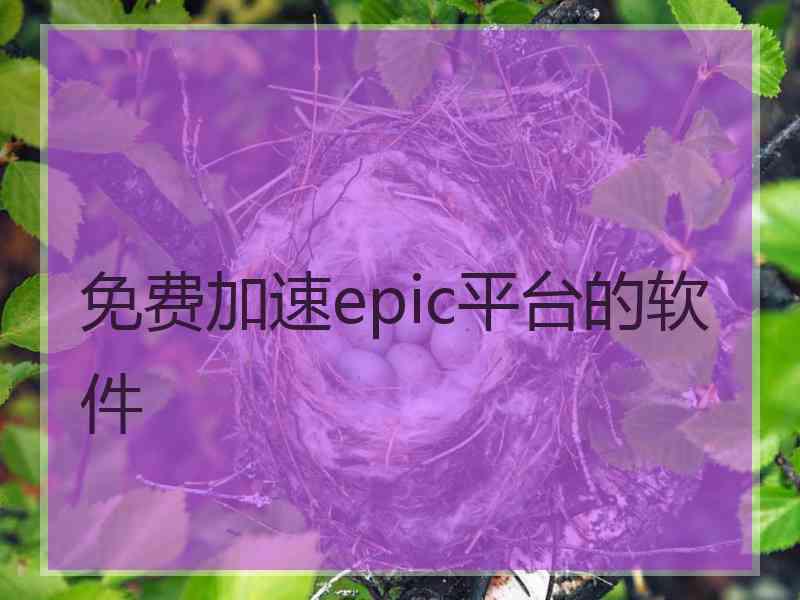 免费加速epic平台的软件