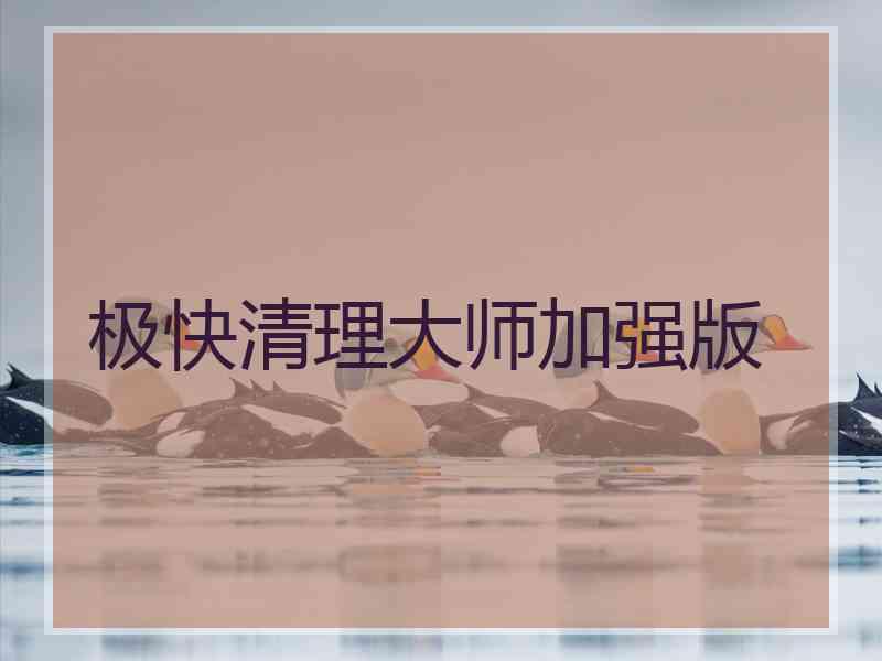 极快清理大师加强版