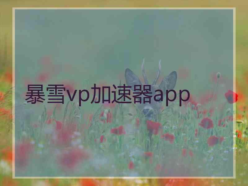 暴雪vp加速器app