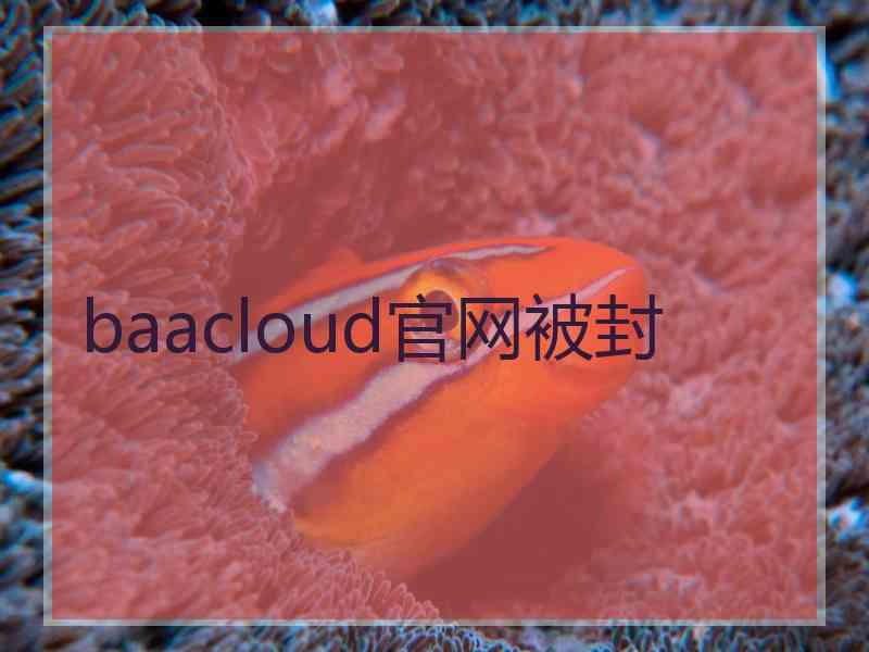 baacloud官网被封