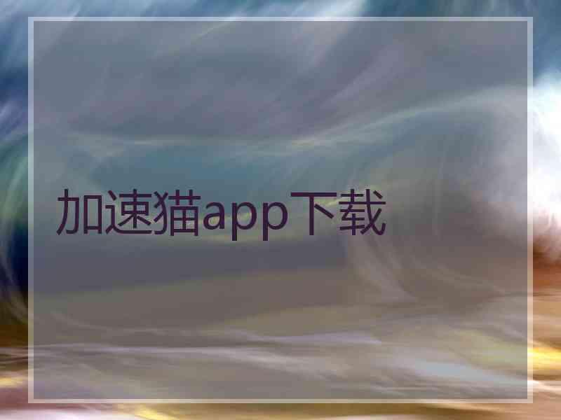 加速猫app下载