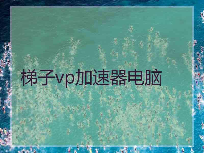 梯子vp加速器电脑