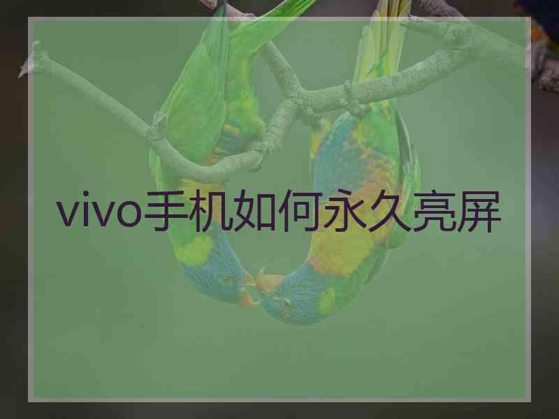 vivo手机如何永久亮屏