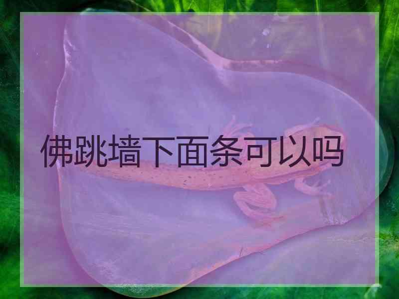 佛跳墙下面条可以吗