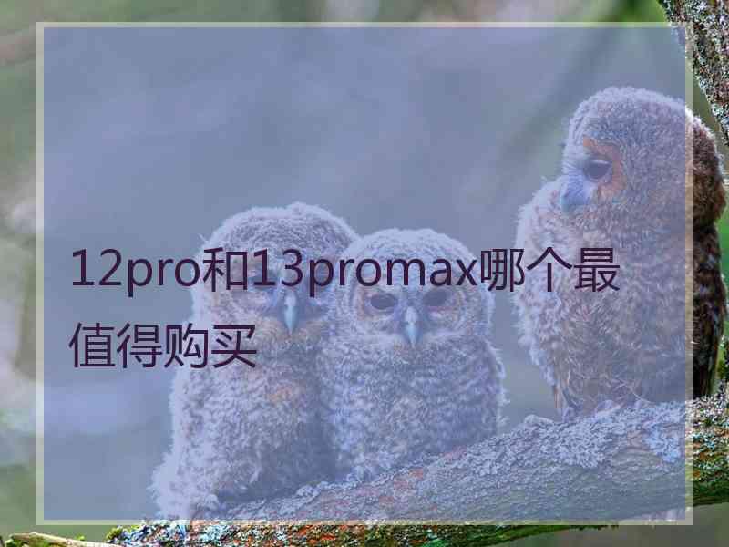 12pro和13promax哪个最值得购买