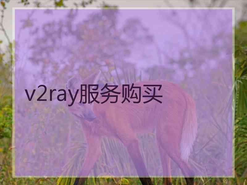 v2ray服务购买