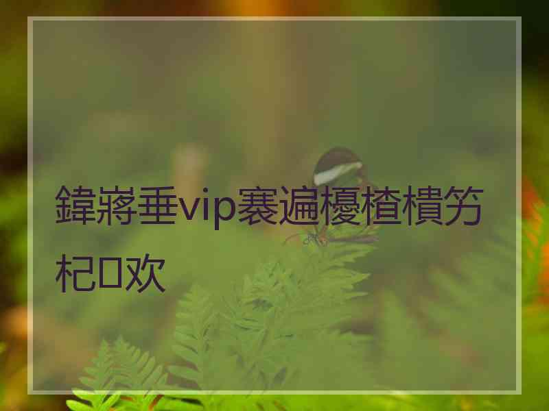 鍏嶈垂vip褰遍櫌楂樻竻杞欢