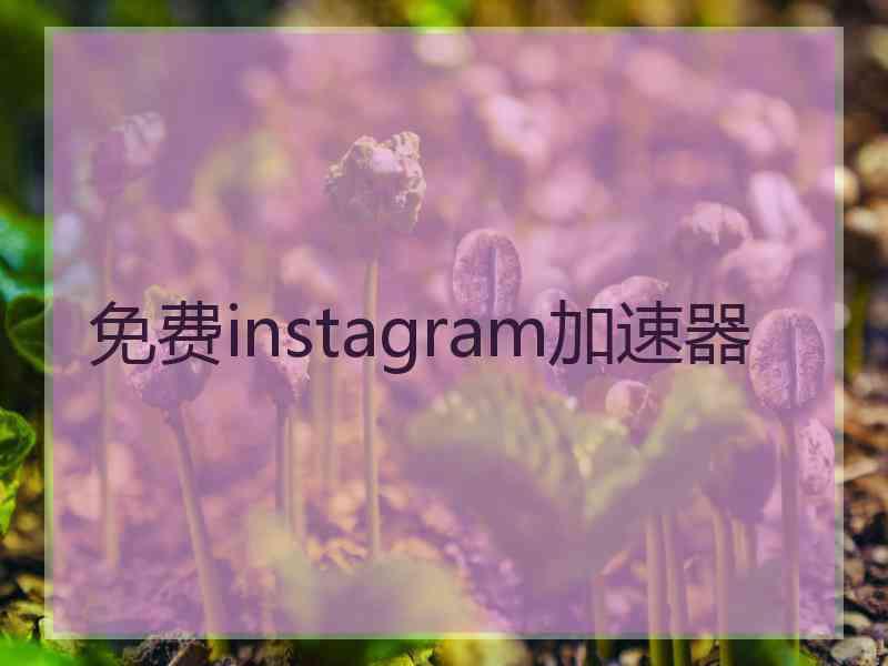 免费instagram加速器