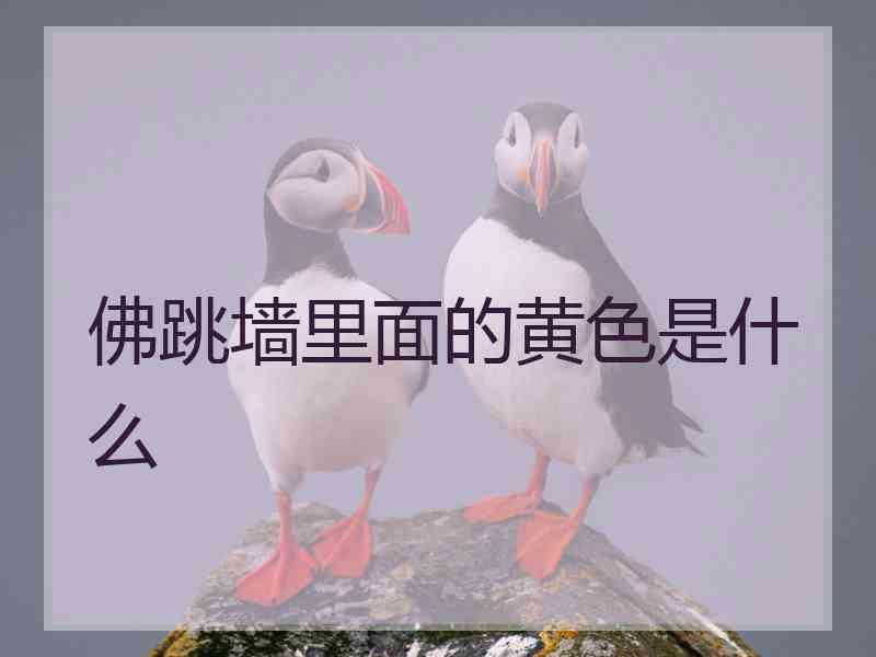 佛跳墙里面的黄色是什么