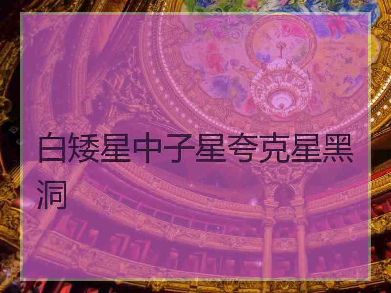 白矮星中子星夸克星黑洞