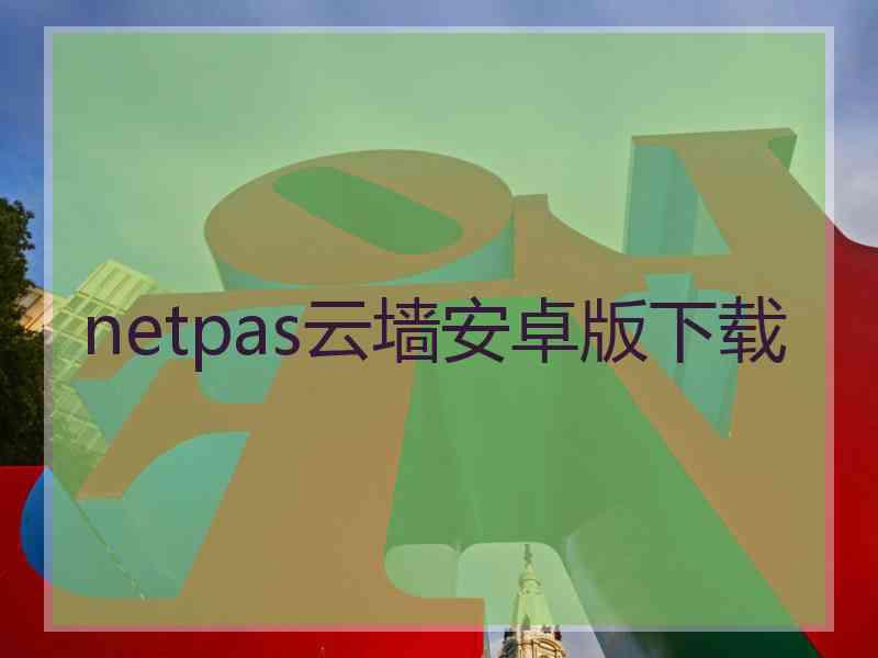 netpas云墙安卓版下载