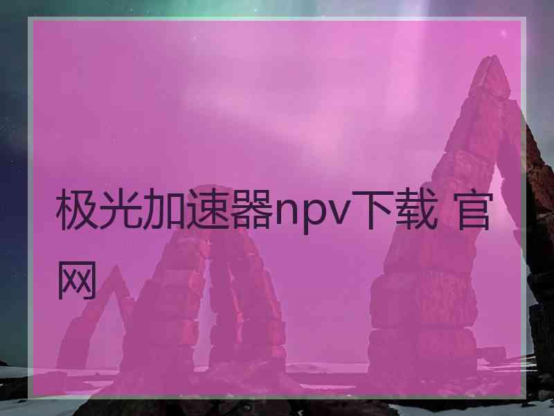 极光加速器npv下载 官网