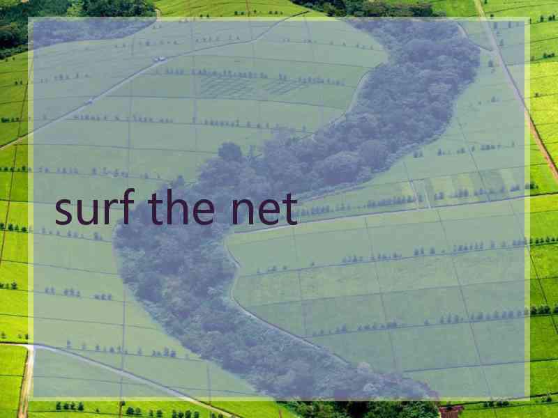 surf the net