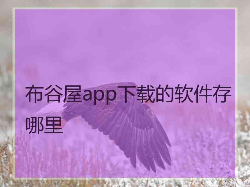 布谷屋app下载的软件存哪里