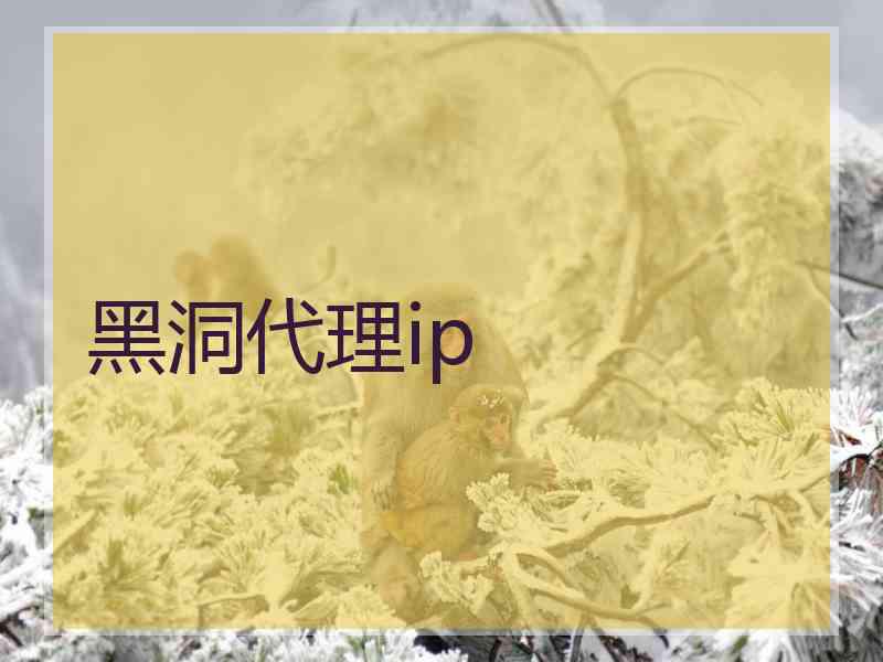 黑洞代理ip