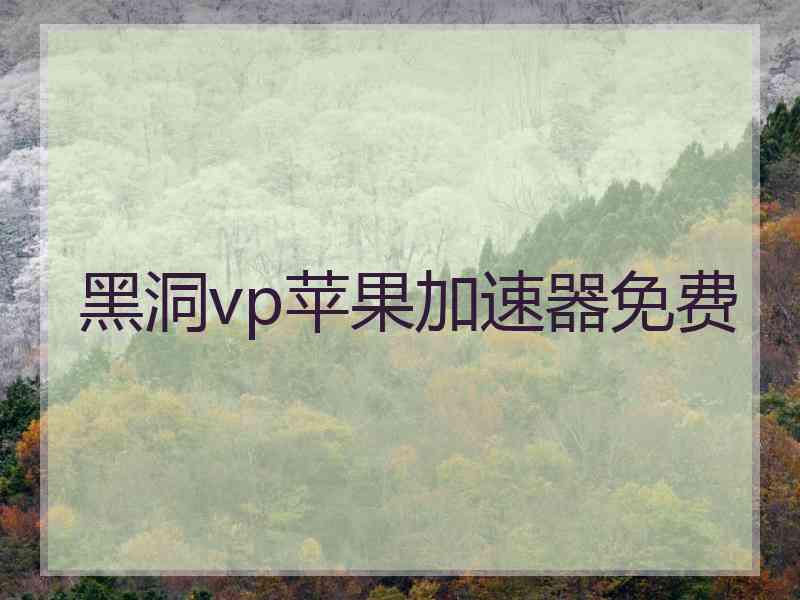 黑洞vp苹果加速器免费