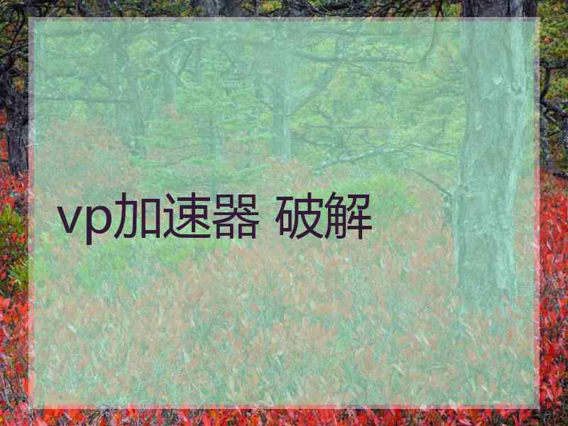 vp加速器 破解