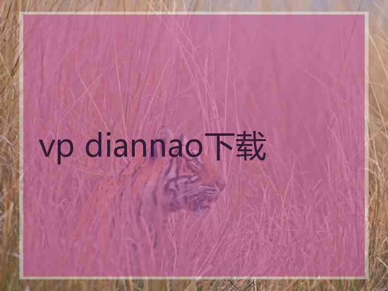 vp diannao下载