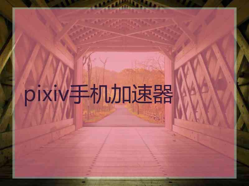 pixiv手机加速器