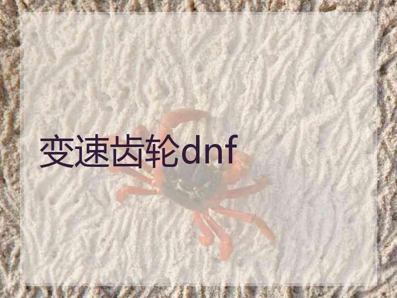 变速齿轮dnf