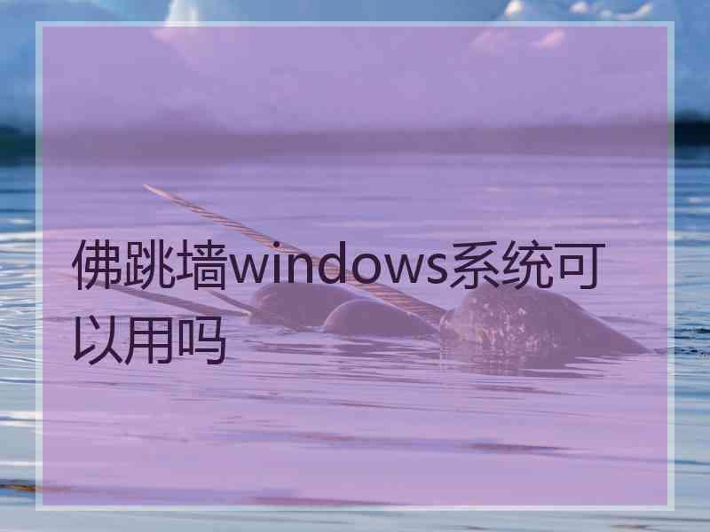 佛跳墙windows系统可以用吗