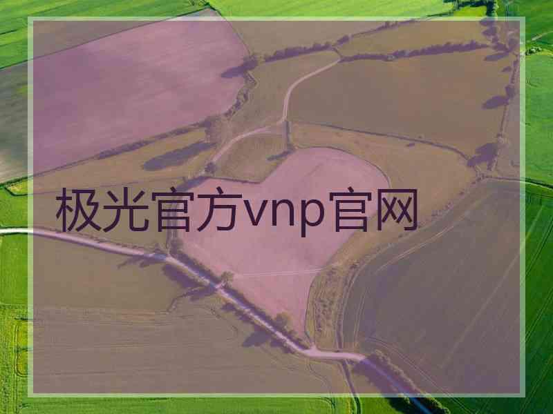 极光官方vnp官网