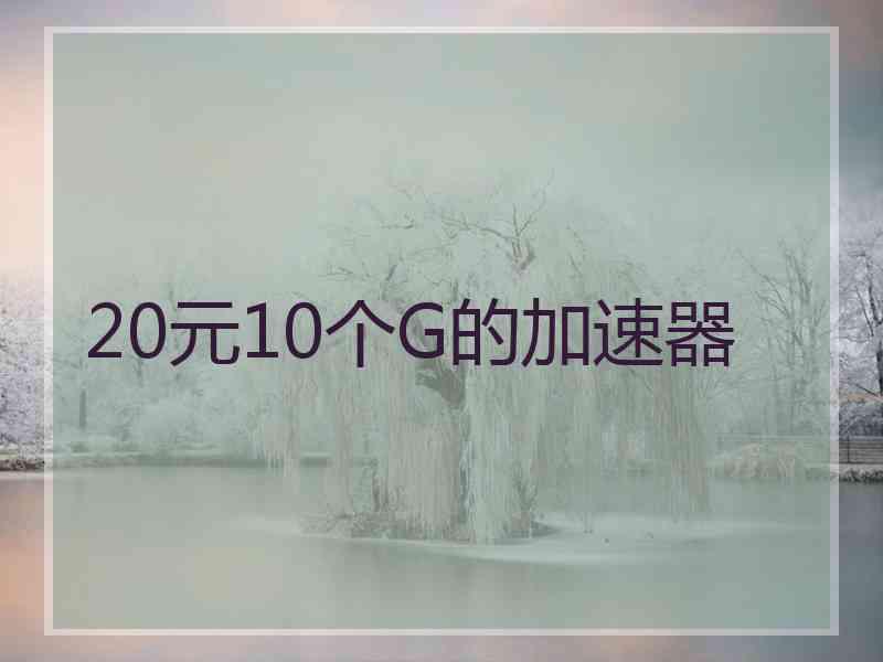 20元10个G的加速器