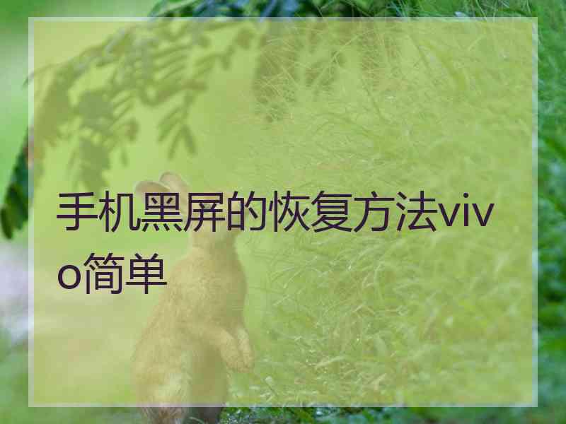 手机黑屏的恢复方法vivo简单