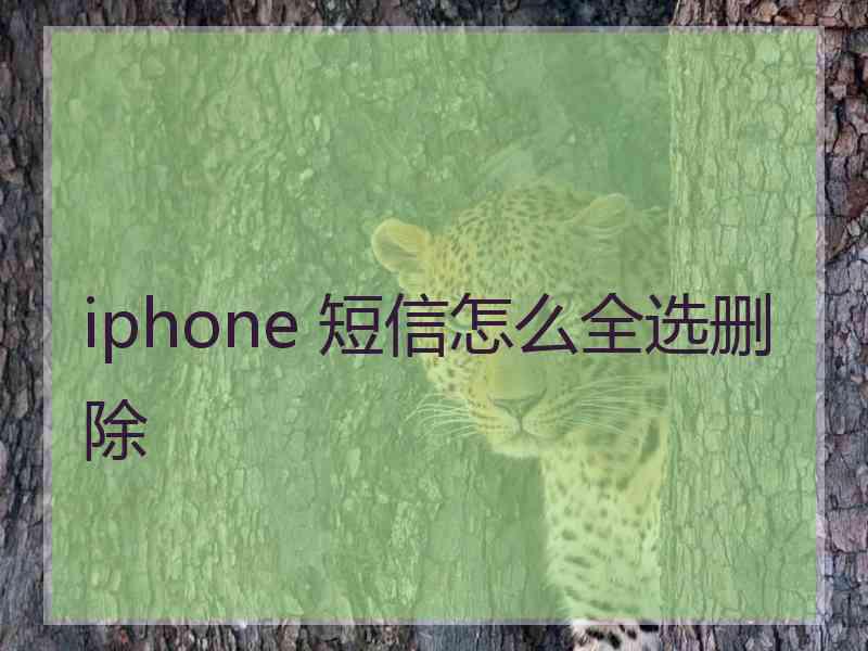 iphone 短信怎么全选删除