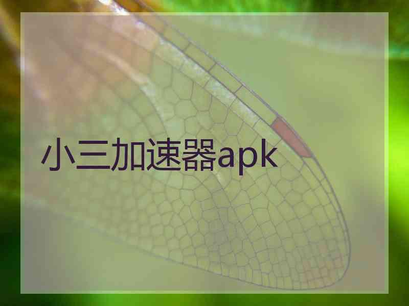 小三加速器apk