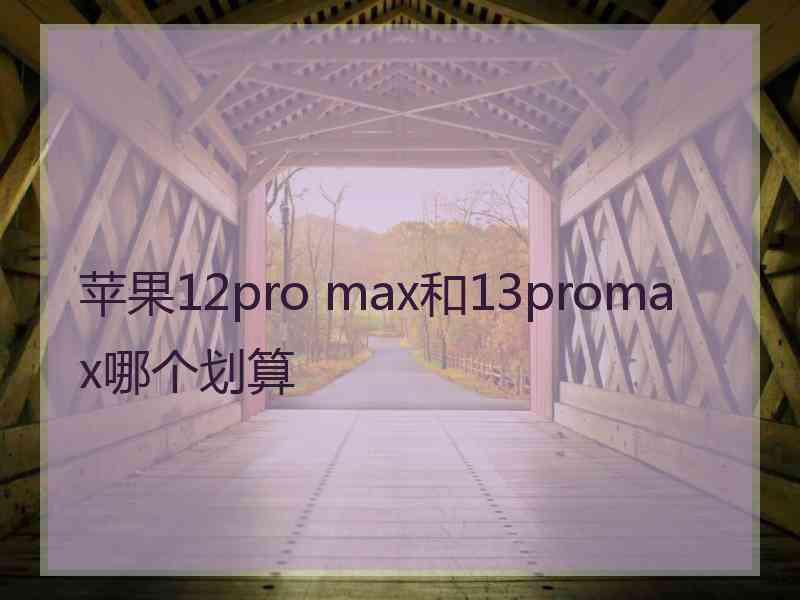 苹果12pro max和13promax哪个划算