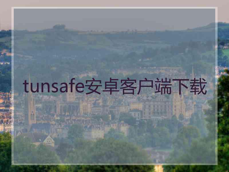 tunsafe安卓客户端下载